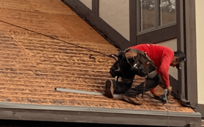 What Should I Look For In A Roof Restoration Company?