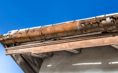 Here Are Some Reasons Why You Might Need A Roof Replacement
